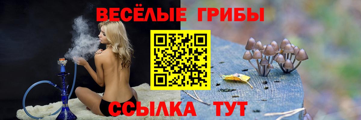 Галлюциногенные грибы прущие грибы Нягань
